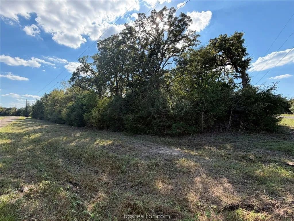 9.99 Acres of Land for Sale in Iola, TX - Iola, Texas, 77861