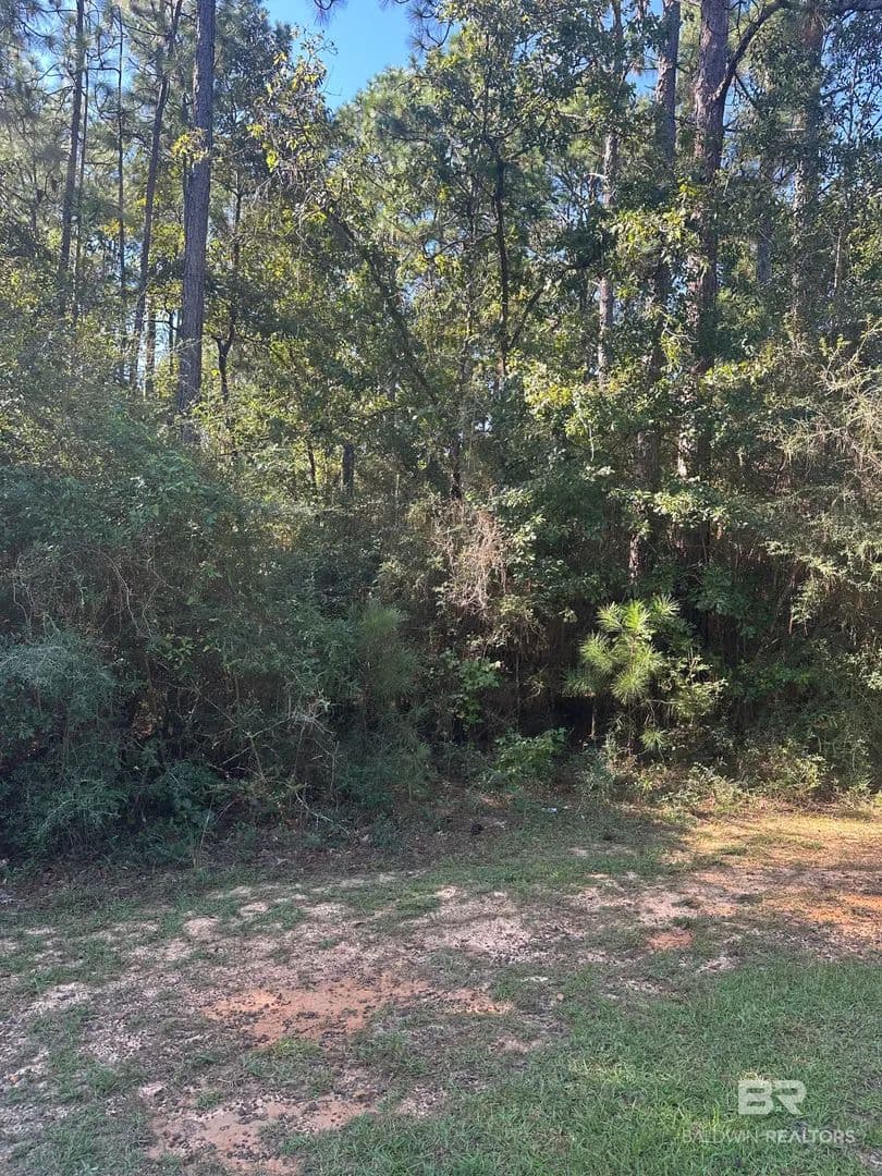 Lots & Land-Other in Bay Minette - Bay Minette, Alabama, 36507