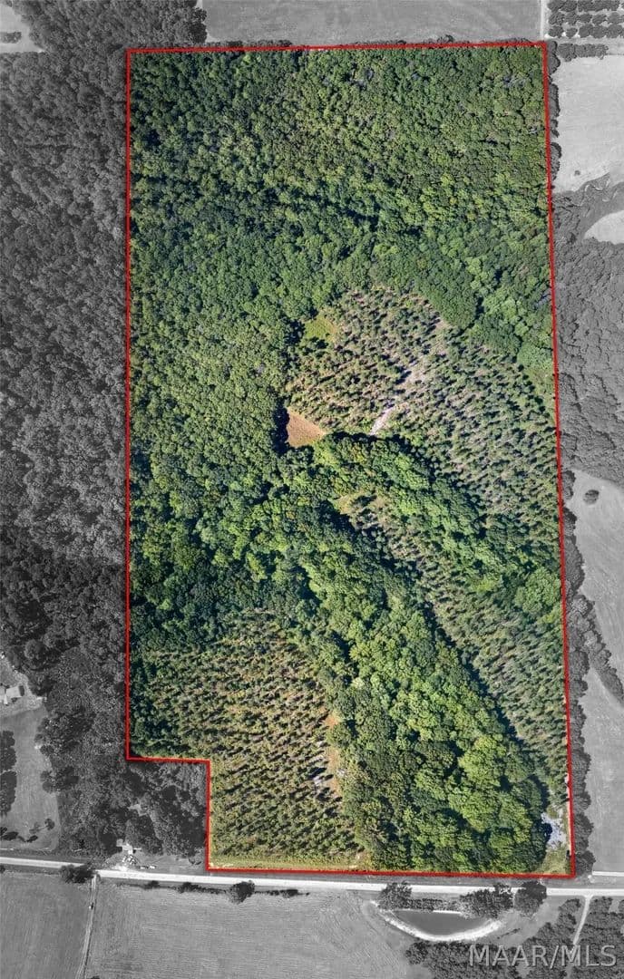 Lots & Land-Other in Notasulga - Notasulga, Alabama, 36866