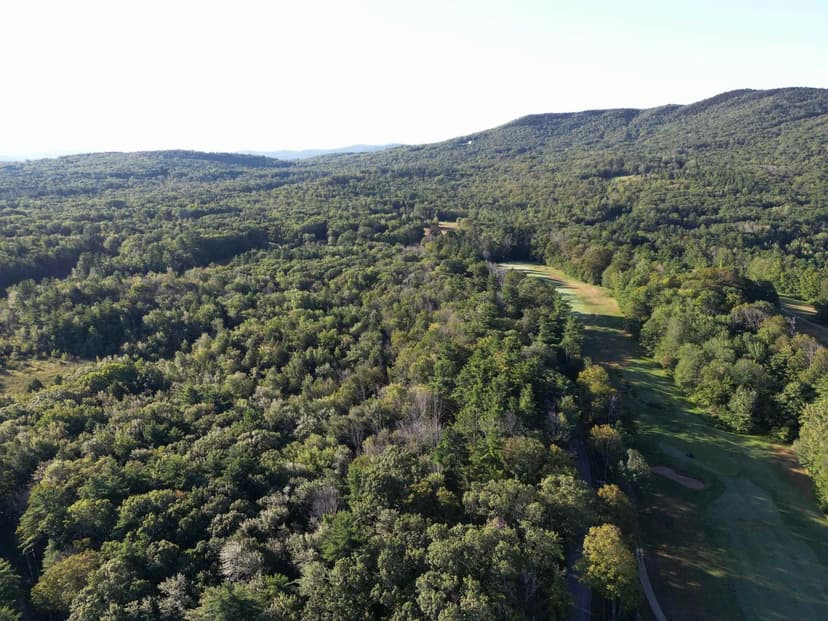 Vacant Land in Francestown