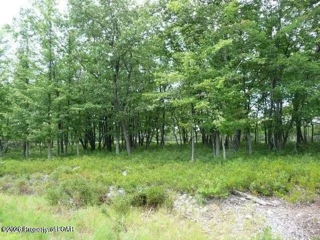Lots & Land-Other in Hazle Twp - Pennsylvania, 18202