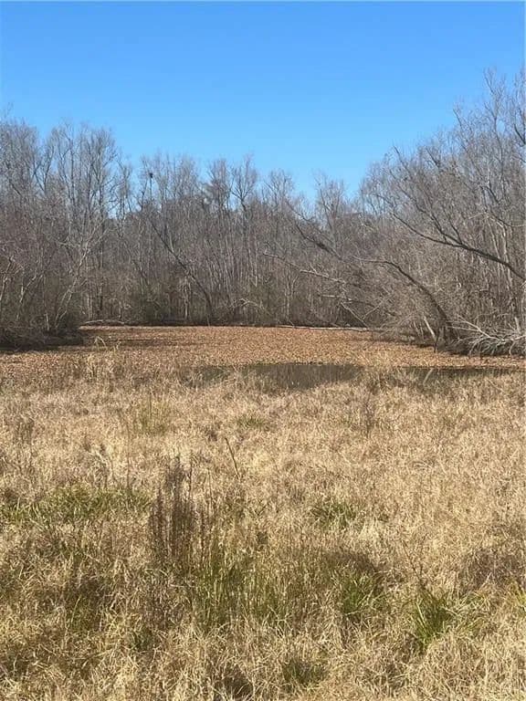 Vacant Land in Vacherie - Vacherie, Louisiana, 70090