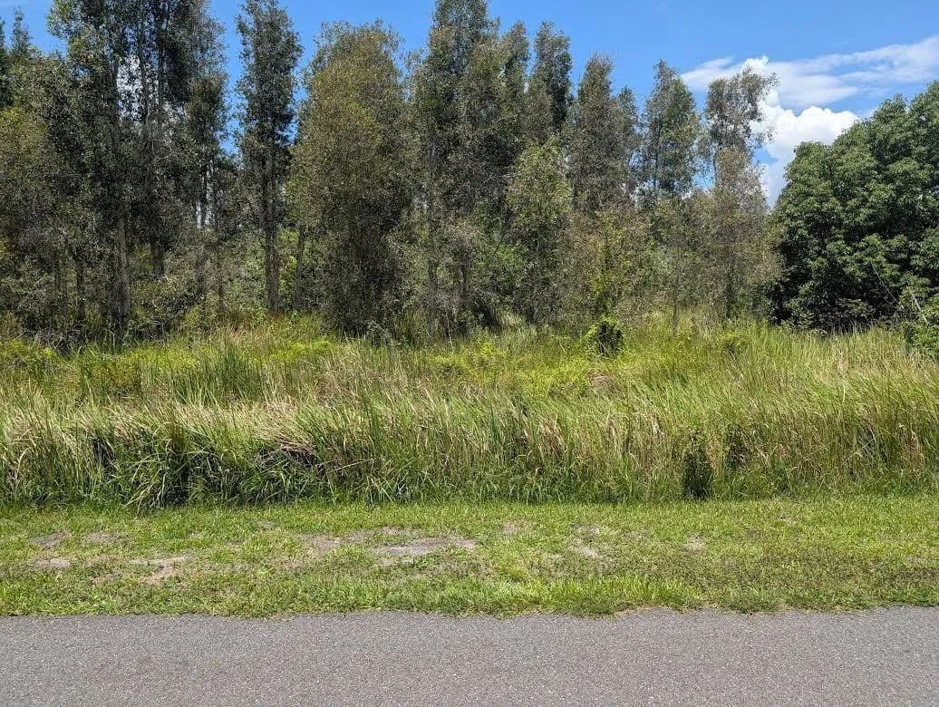 Property from ARBOREA DRIVE N - KW - , Florida, 33855