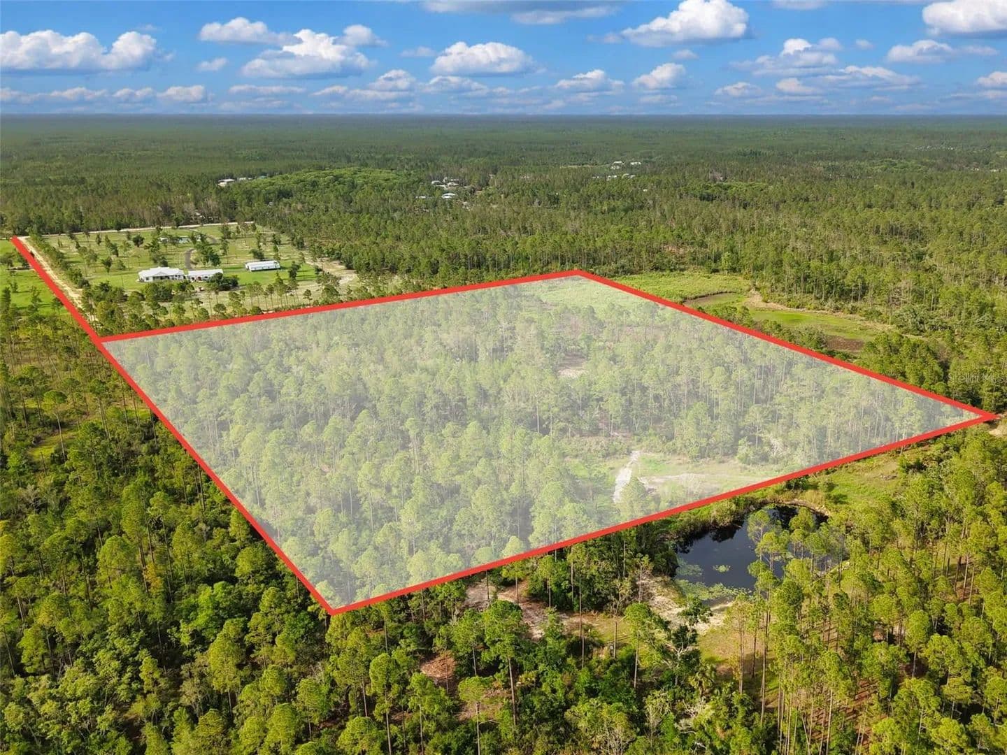 20.06 Acres of Land for Sale in STEINHATCHEE, FL - Steinhatchee, Florida, 32359