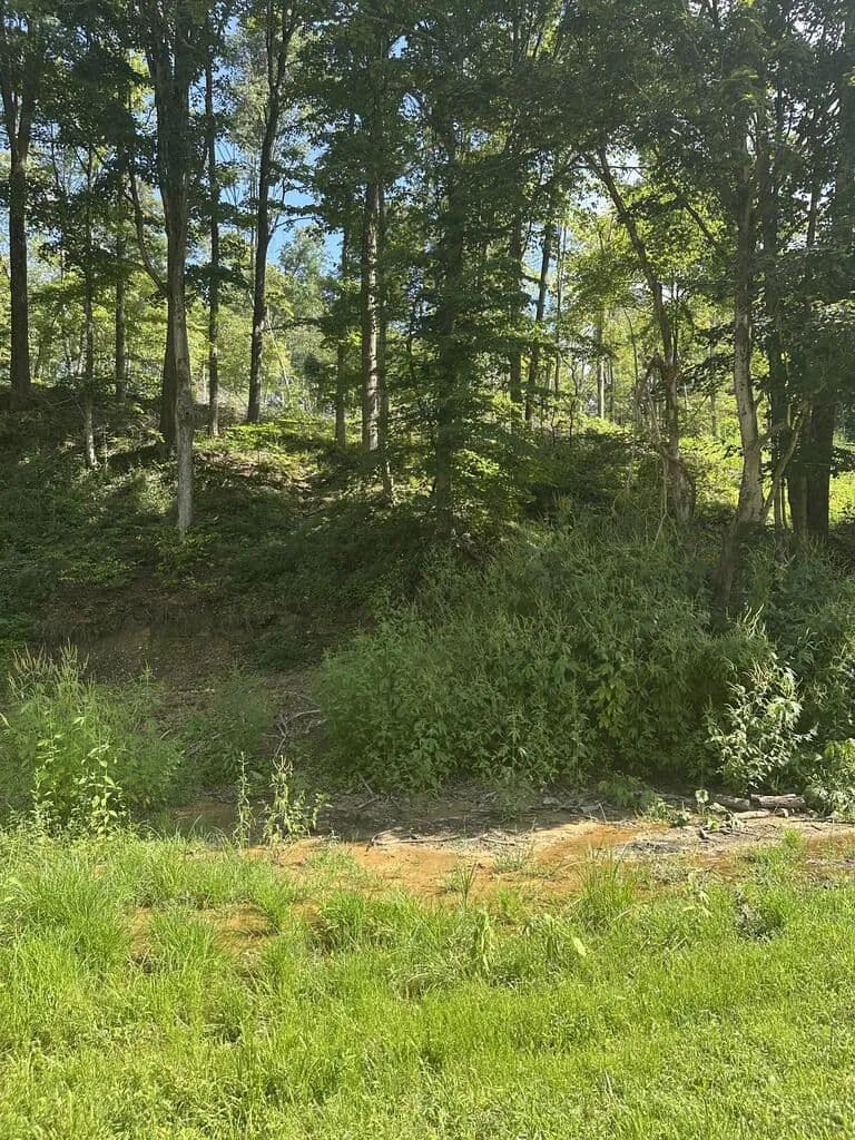 Lots & Land-Other in Waverly - Waverly, Ohio, 45690