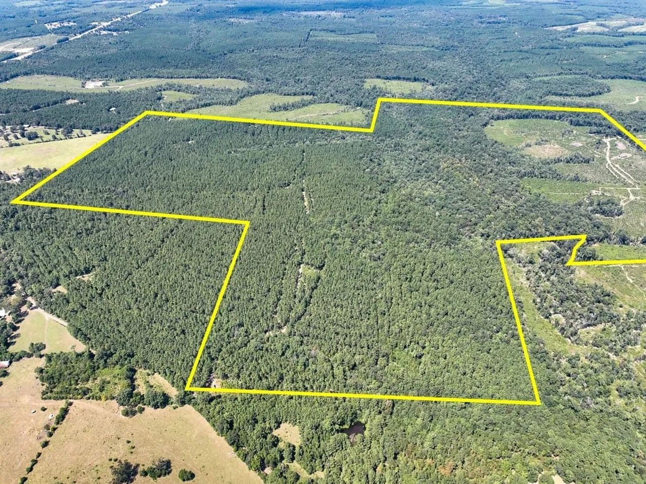 356 Acres | County Road 314 | Jasper County - Kirbyville, Texas, 75956
