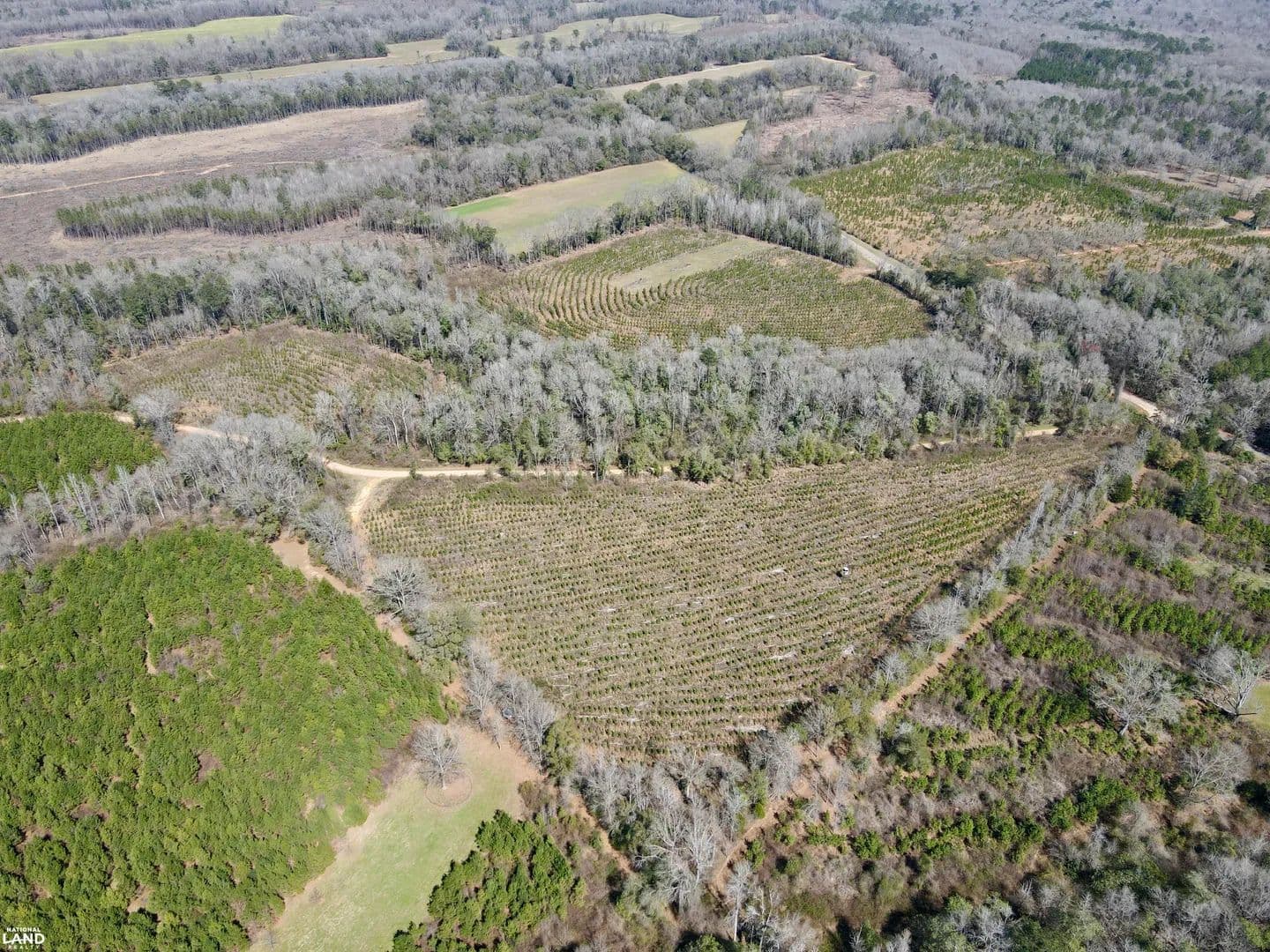 The CR 13 McCalls Creek Tract - Coy, Alabama, 36435