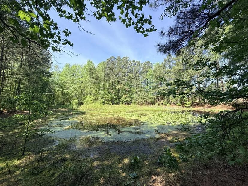 PENDING 7 +/- Acres with Pond