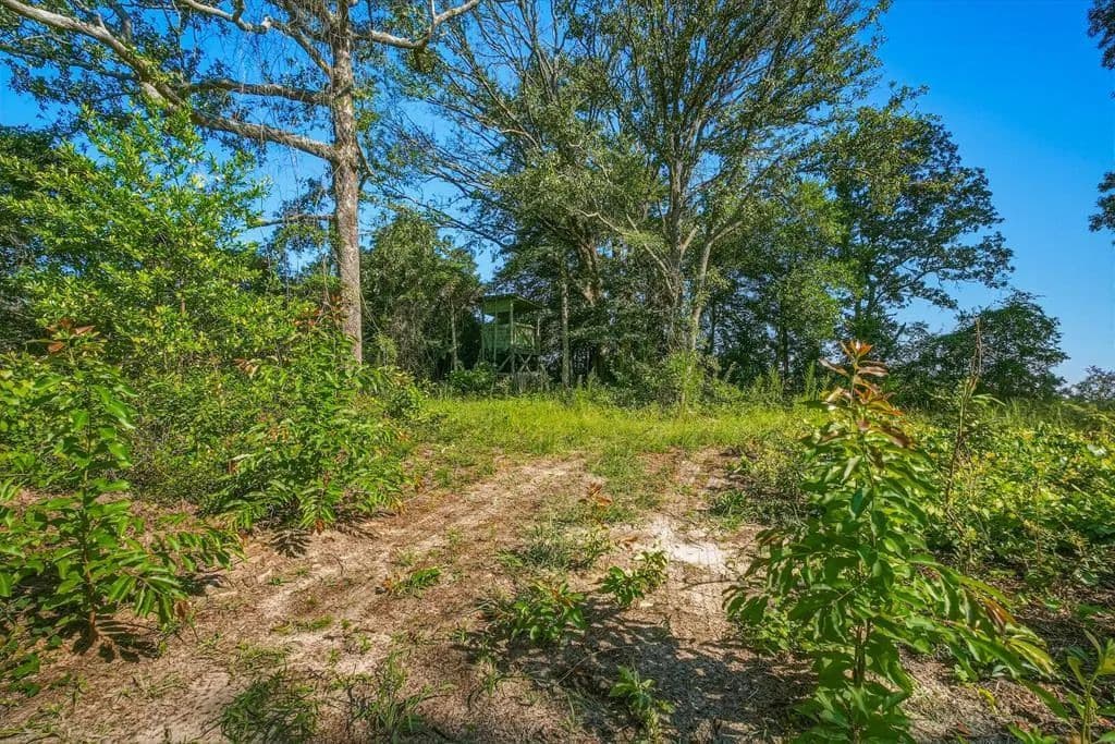 Lots & Land-Other in MAUK - Mauk, Georgia, 31058