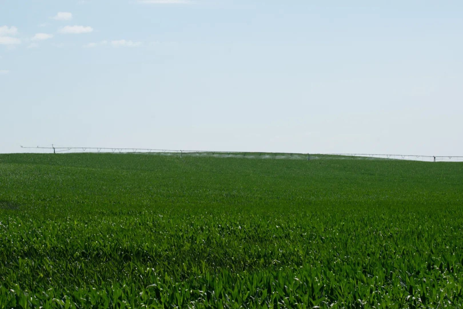 Perkins County Irrigated Cropland - Grainton, Nebraska, 69169