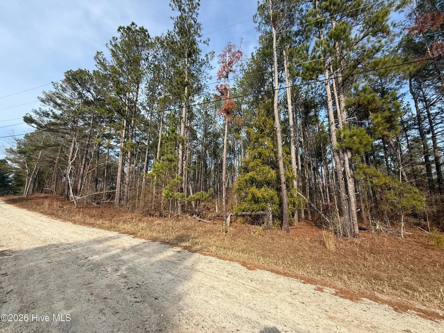 Lots & Land-Other in Hephzibah - Hephzibah, Georgia, 30815