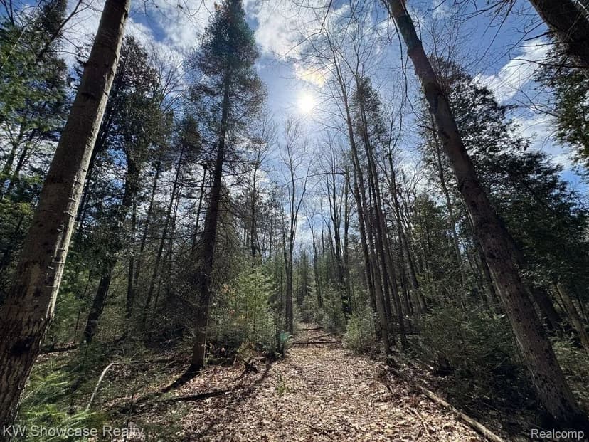 Property from 4233 Hardacre Trail - KW