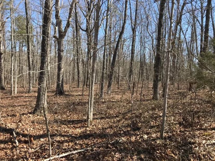 Vacant Land (0-10 Acres) in Dunlap