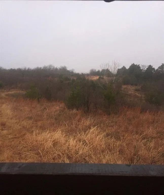 Vacant Land in Whitesboro - land for sale
