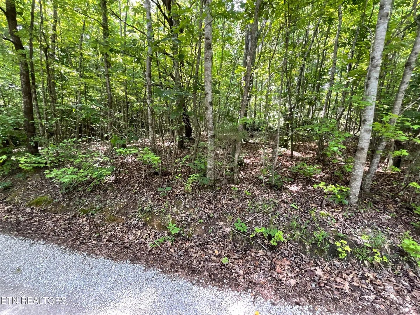 Lots & Land-Other in Rockwood - Rockwood, Tennessee, 37854