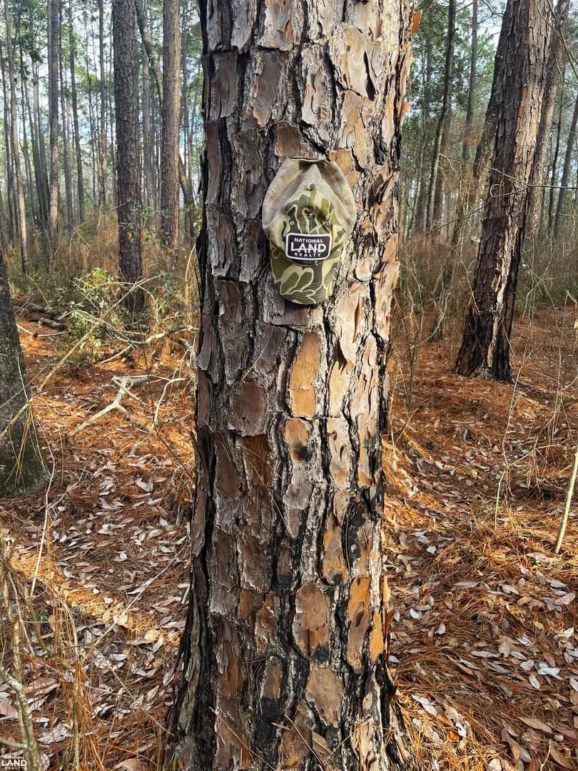 Perdido-Jack Springs Investment Tract-Large Homesite - Perdido, Alabama, 36562