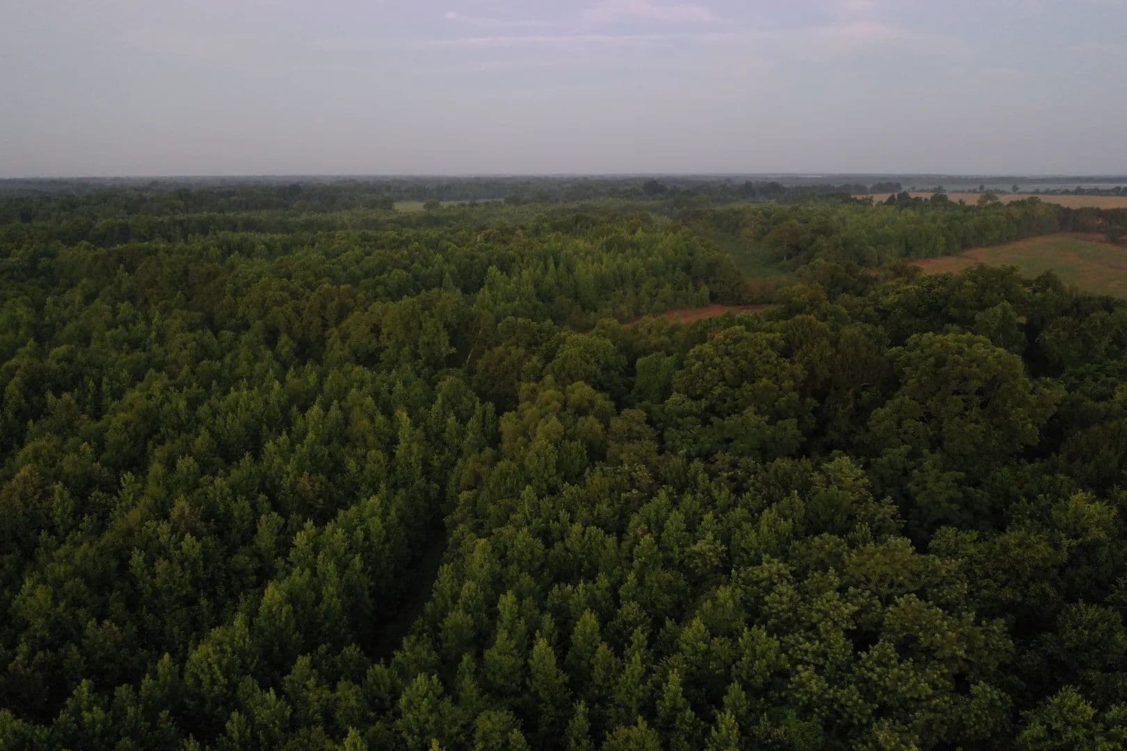 38.4 Acres in Tensas Parish, LA  - Waterproof, Louisiana, 71375