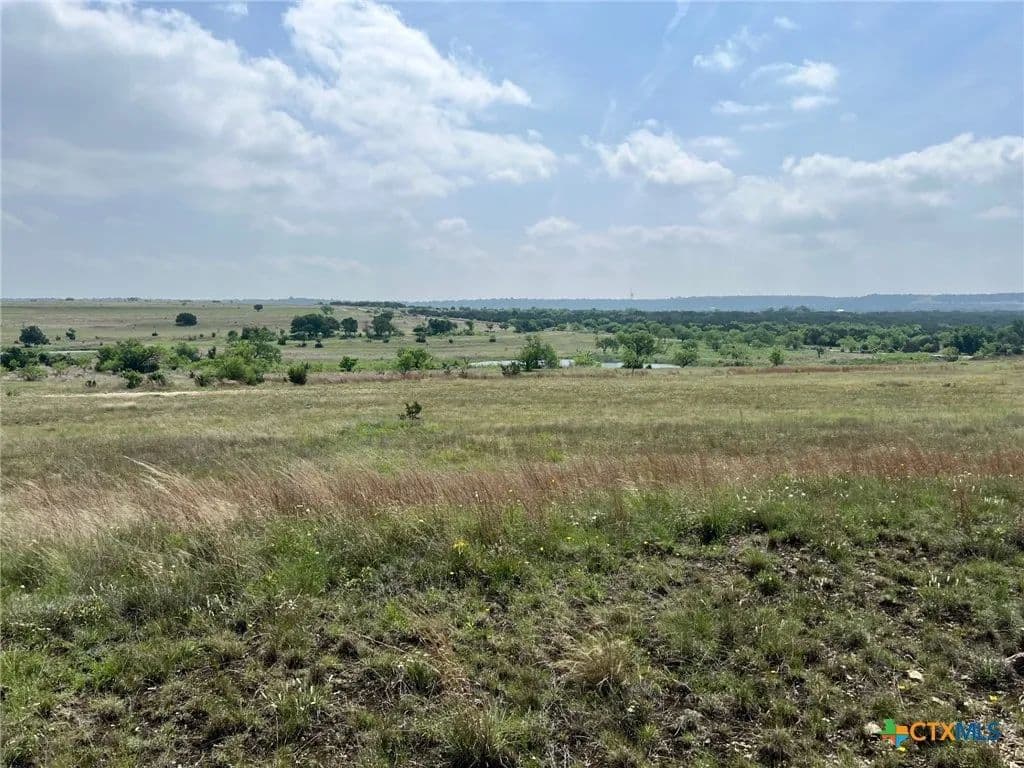 Vacant Land in Kempner - Kempner, Texas, 76539