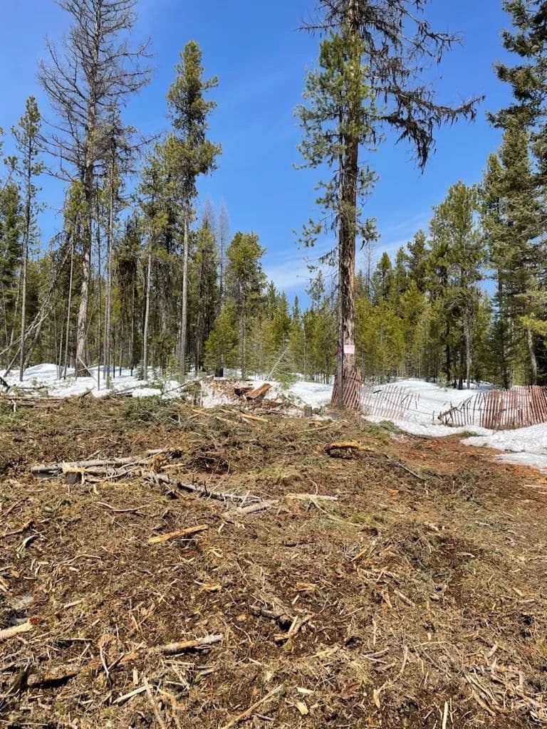 Vacant Land (10+ Acres) in Clinton