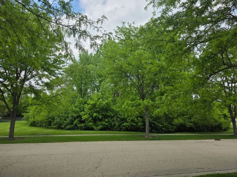 Vacant Land in Bartlett