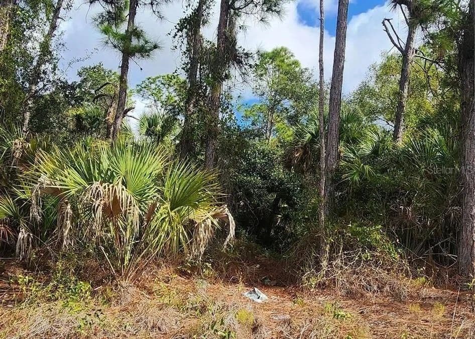 Vacant Land in North Port - North Port, Florida, 34288