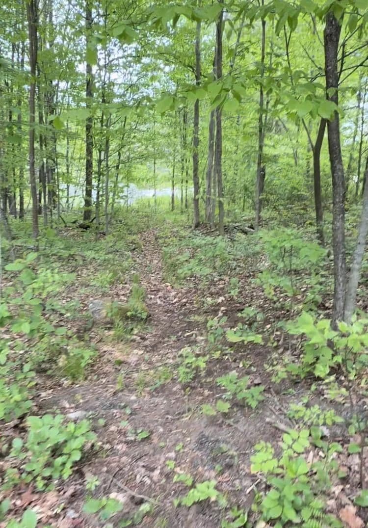 0.53 Acres of Land for Sale in Long Lake, NY - Long Lake, New York, 12847