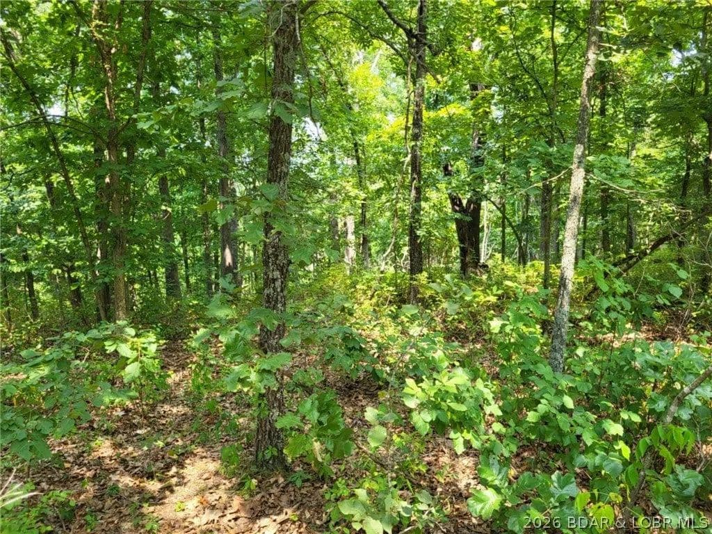 Lots & Land-Other in Edwards - Edwards, Missouri, 65326