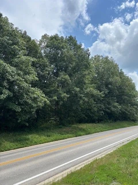 Vacant Land in Greenup