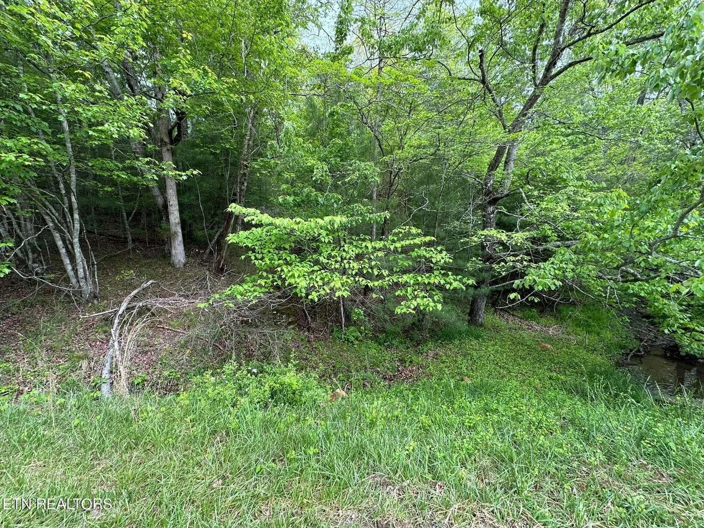 Lots & Land-Other in Crossville - Crossville, Tennessee, 38558