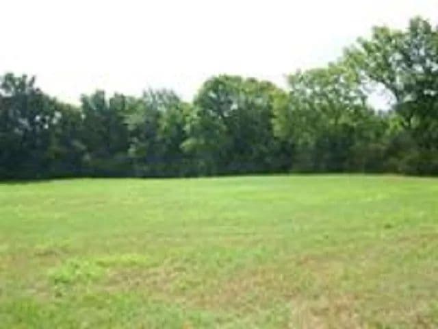 Vacant Land (0-10 Acres) in Mt. Enterprise - Texas, 75681