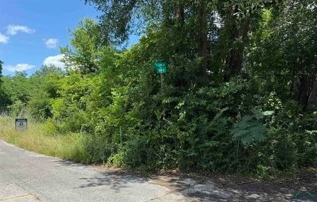 Vacant Land (0-10 Acres) in Henderson - Henderson, Texas, 75654