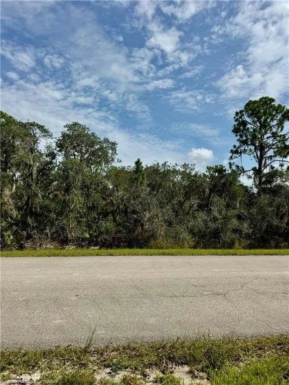 Lots & Land-Other in Lake Placid - Lake Placid, Florida, 33852