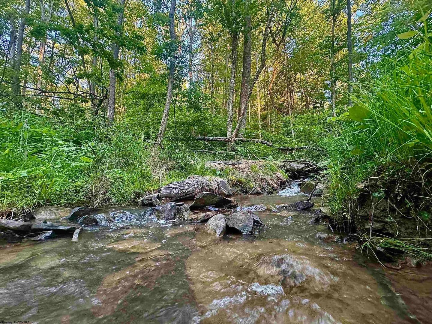 Property from Tract B John Orr Road - KW - Independence, West Virginia, 26374