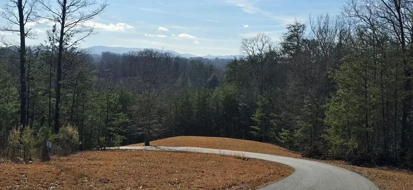Lots & Land-Other in Mineral Bluff