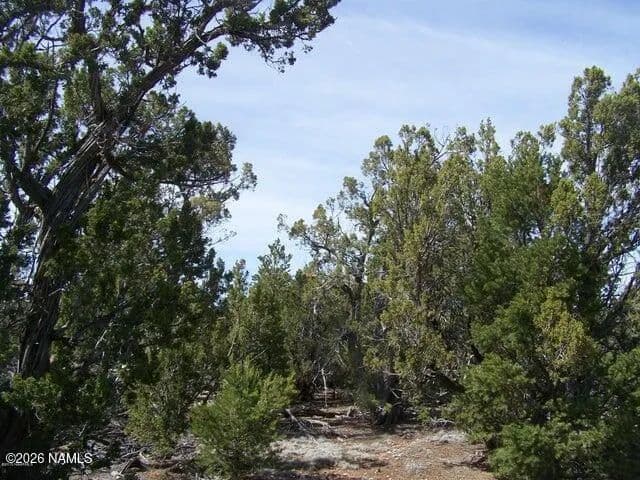 Lots & Land-Other in Williams - Williams, Arizona, 86046