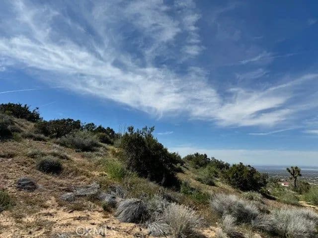 Vacant Land in Pinon Hills - Pinon Hills, California, 92372