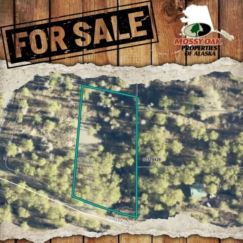 1.11 ACRES near Kenai with driveway and POWER