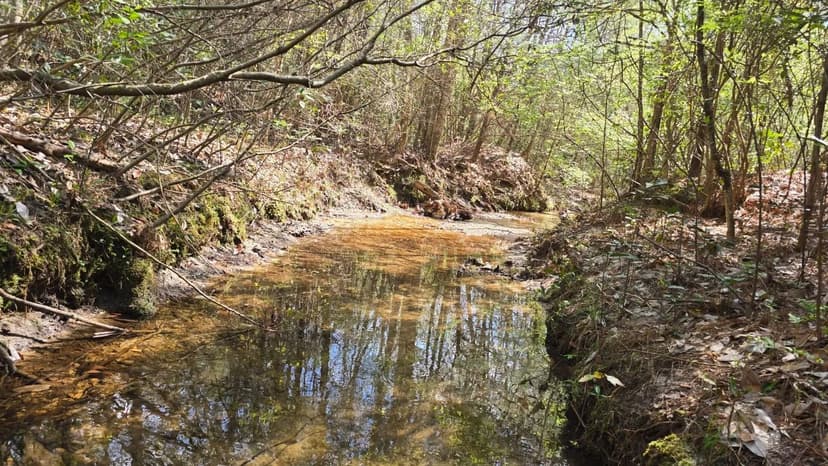 20± Acres – Southeast Lincoln County, MS