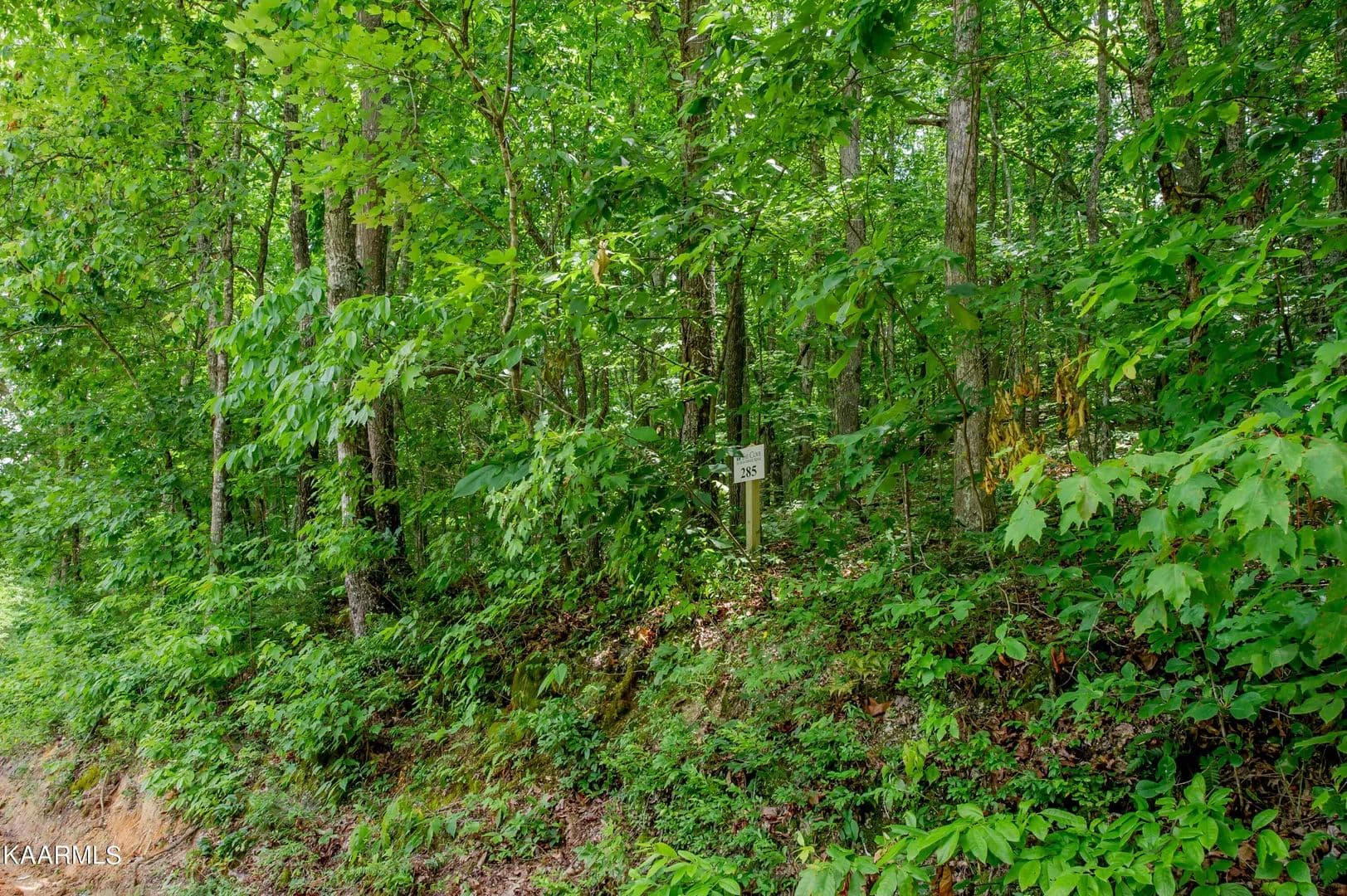 Lots & Land-Other in Loudon - Loudon, Tennessee, 37774