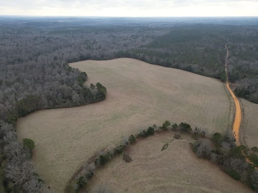 50+/- Acre Junkins Rd. South Tract Fayette County