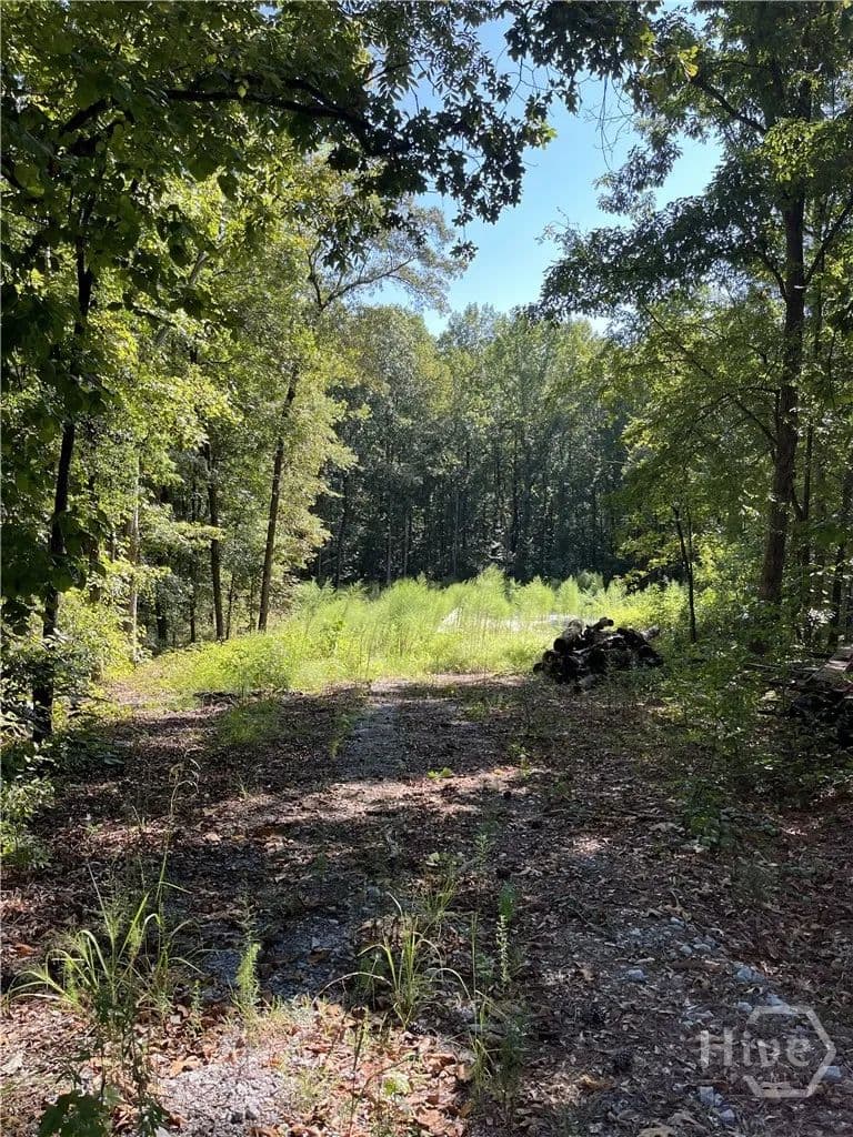 Vacant Land in Winterville - Winterville, Georgia, 30683