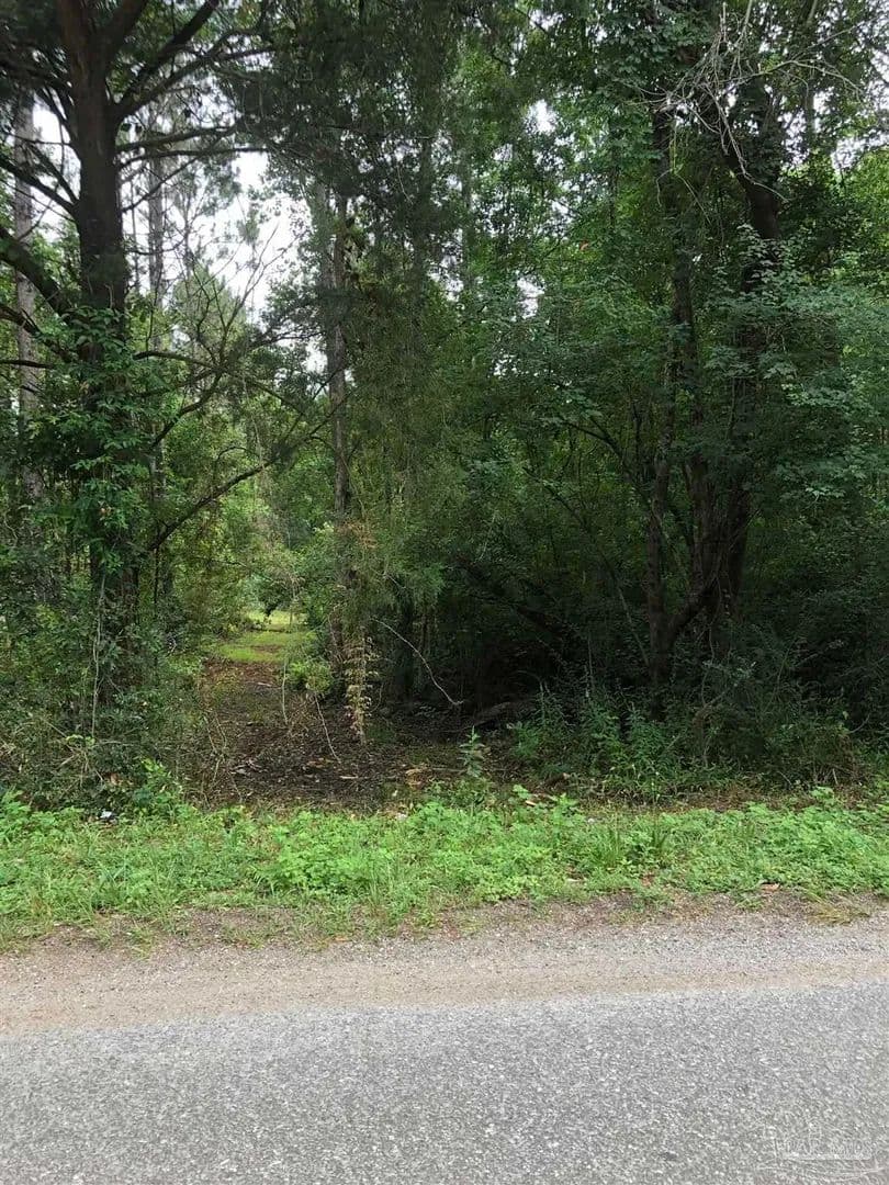 Lots & Land-Other in Cantonment - Cantonment, Florida, 32533