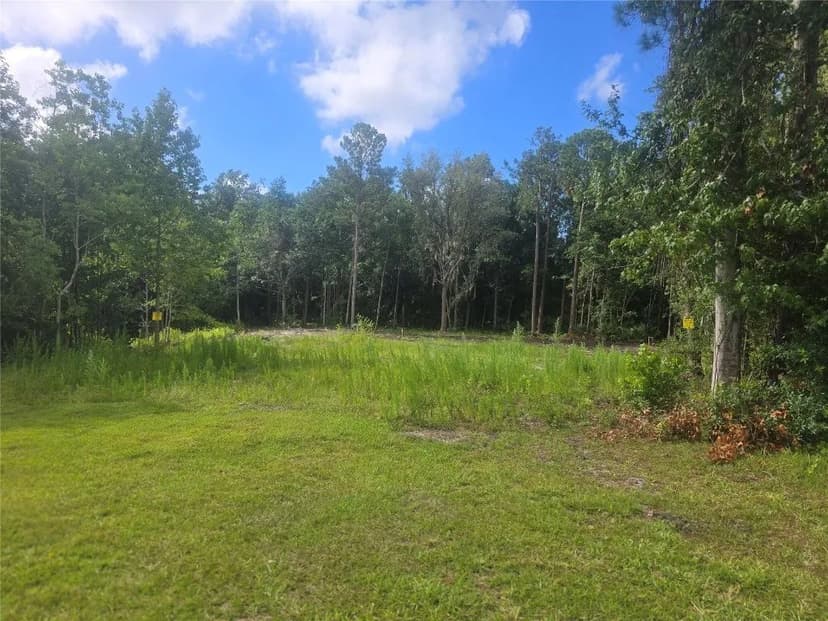 Property from 910 SOMERUELUS Street - KW