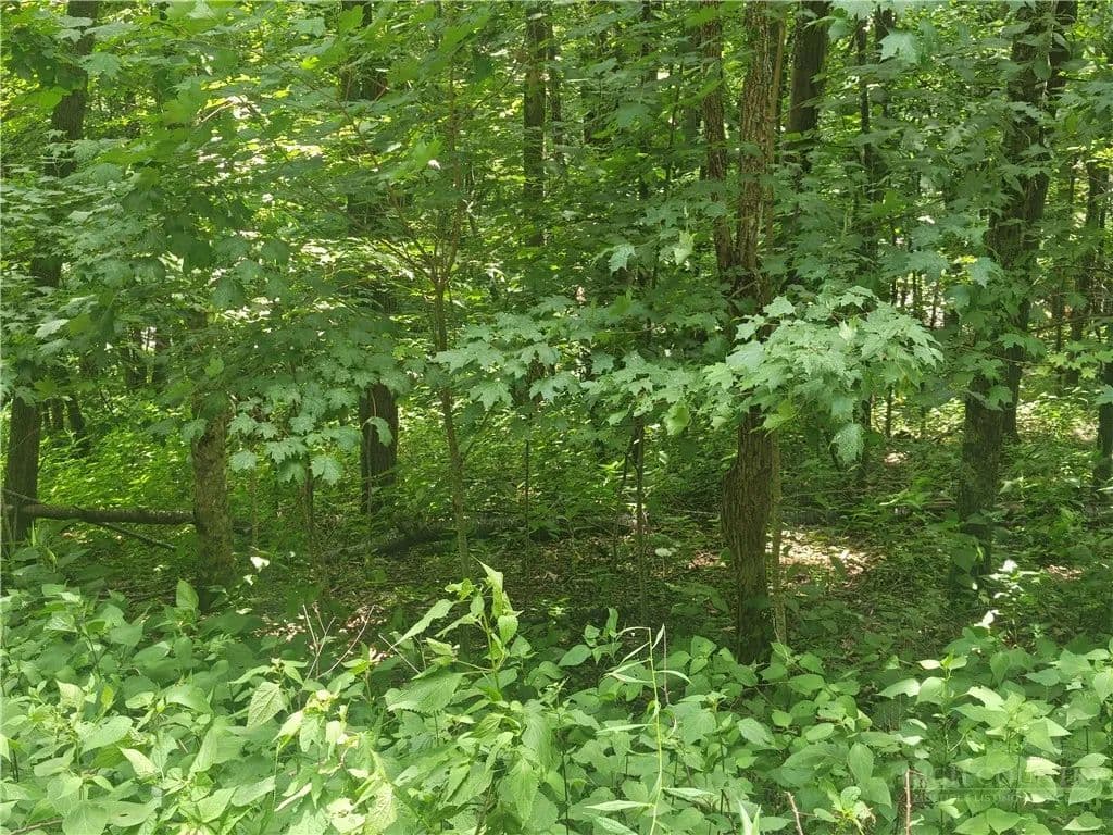 0.33 Acres of Land for Sale in Boone, NC - Boone, North Carolina, 28607