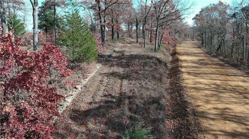 Ozark Land | 62 Acres | Newton County