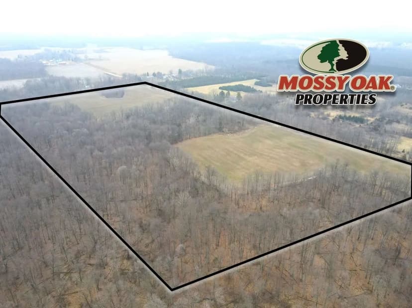 70 Acres in Hillsdale County