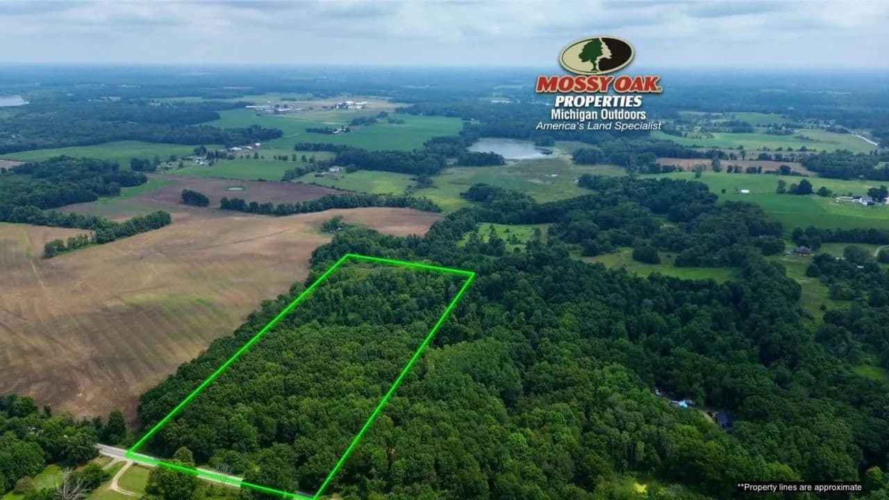 14.29 +/- Acres / Barry County, MI / Delton, MI / Recreational & Building / Land For Sale - Delton, Michigan, 49046
