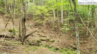 Property from Fall Creek Meadows Fall Creek Meadows Lane - KW