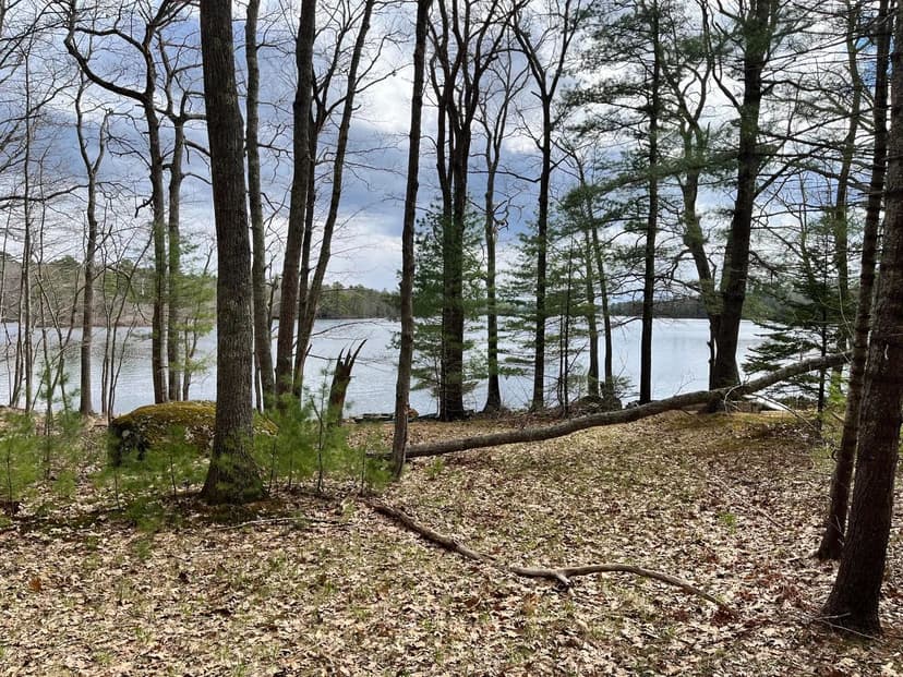 Property from 0 Old Haying Road - KW