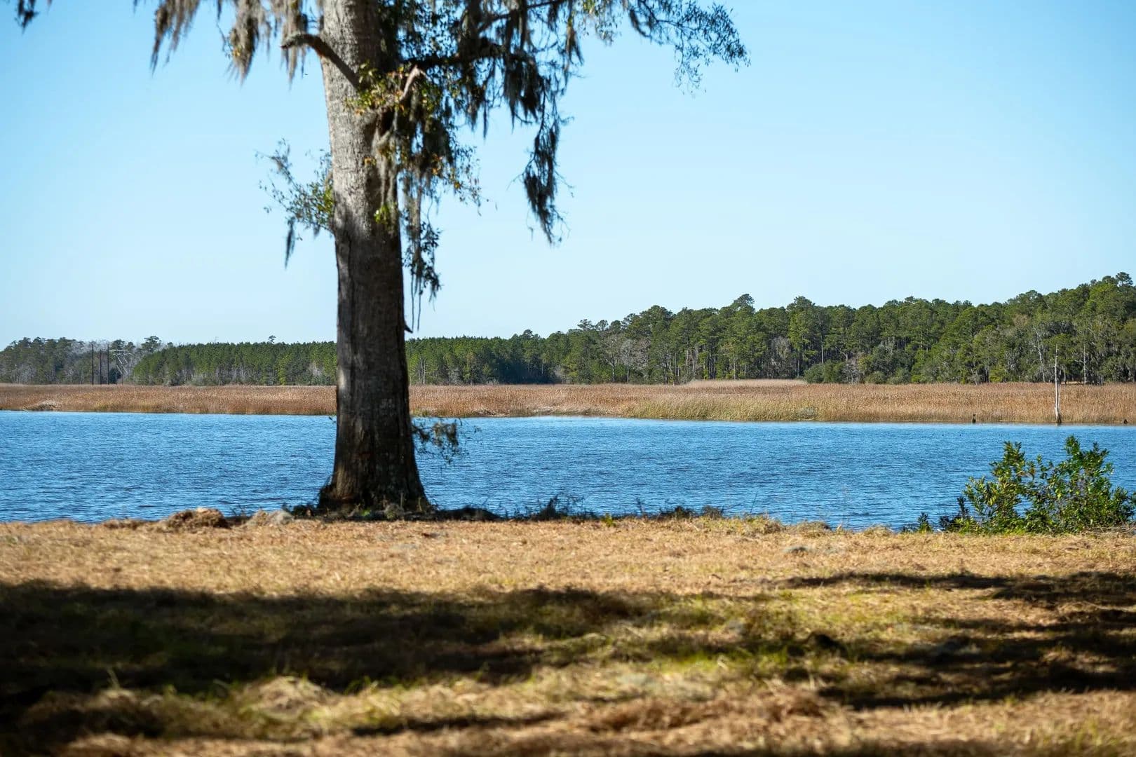 Property from 1939 Mauricena Rd. - KW - Georgetown, South Carolina, 29440